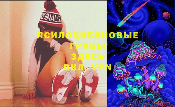 бошки Алексеевка