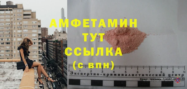 стаф Арсеньев